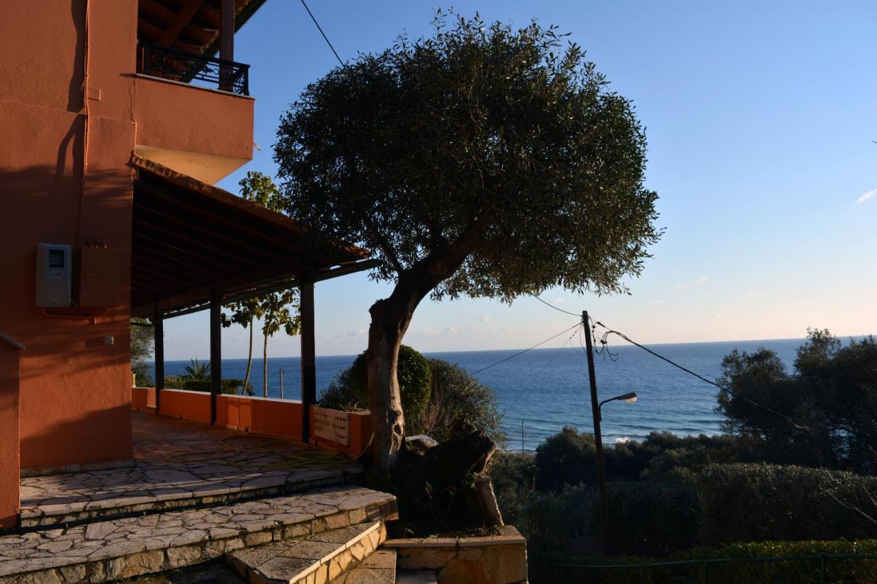 Papadatos Apts With Amazing View - 5Mins From The Beach Kontogialos ภายนอก รูปภาพ